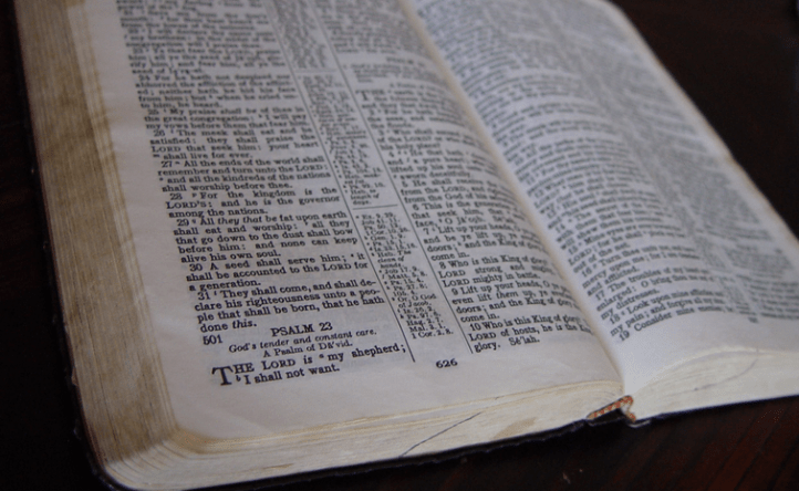 Screen Shot 2019-02-02 at 9.43.12 PM.png