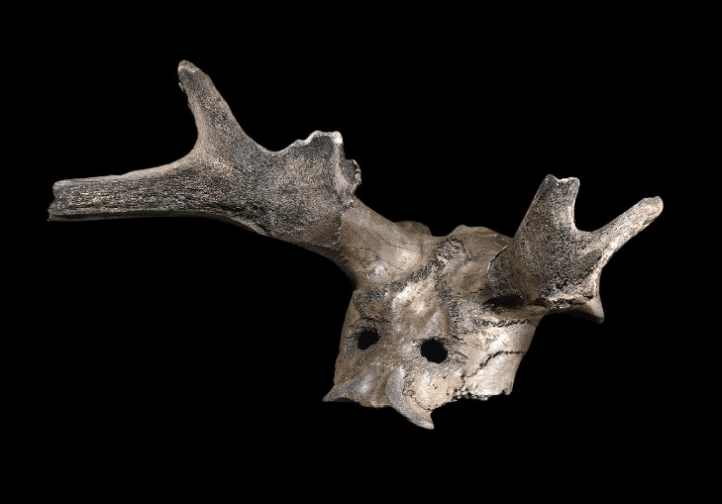 Screen Shot 2019-11-03 at 6.01.19 PM.png